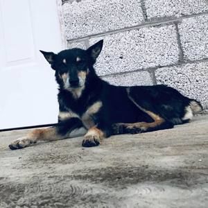 Meet your Posher, Arturo